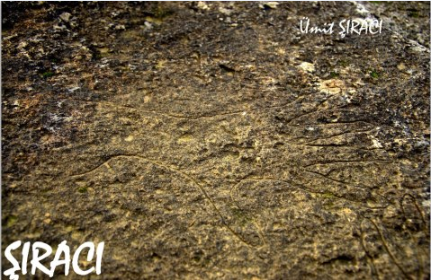 denizli taşta el resmi kazıması