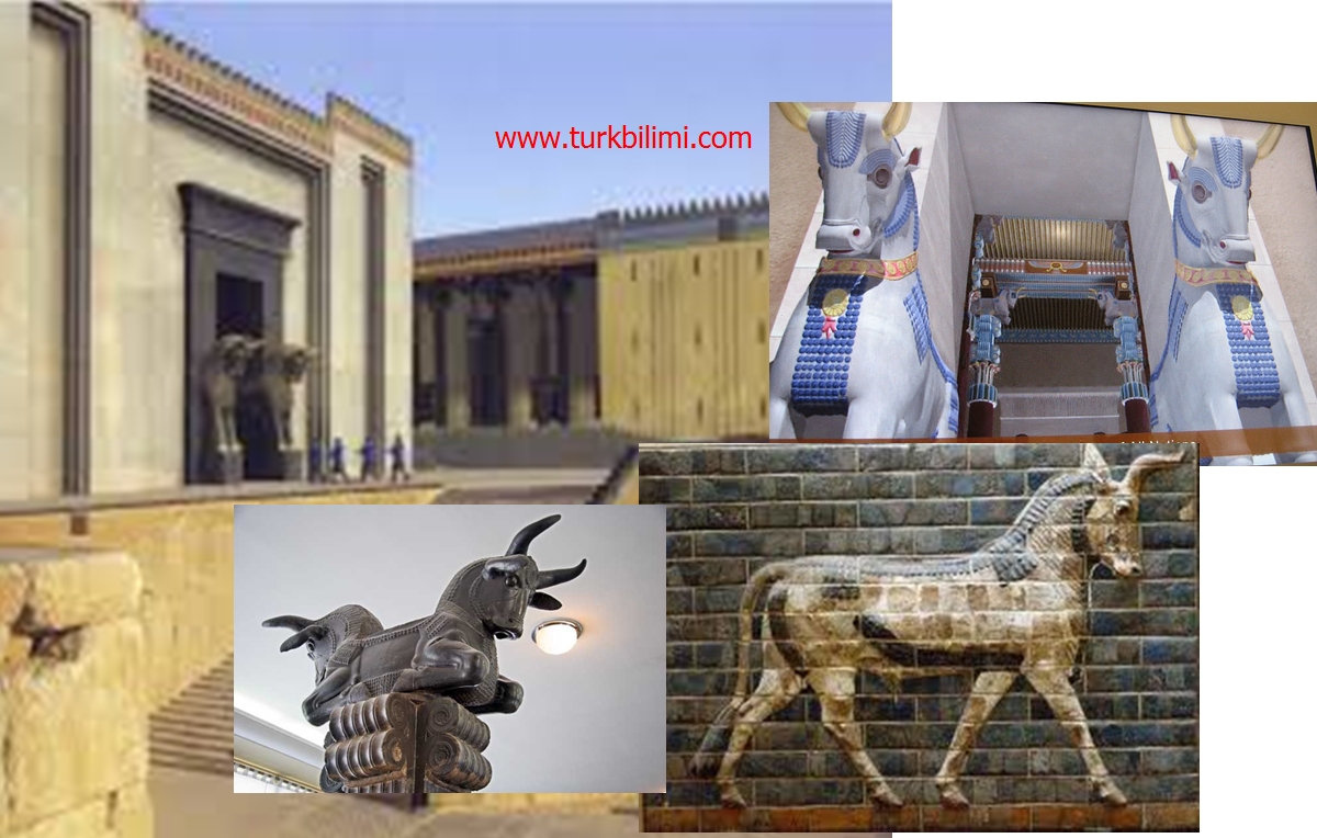 antik persepoliste ox-öküz tamgası