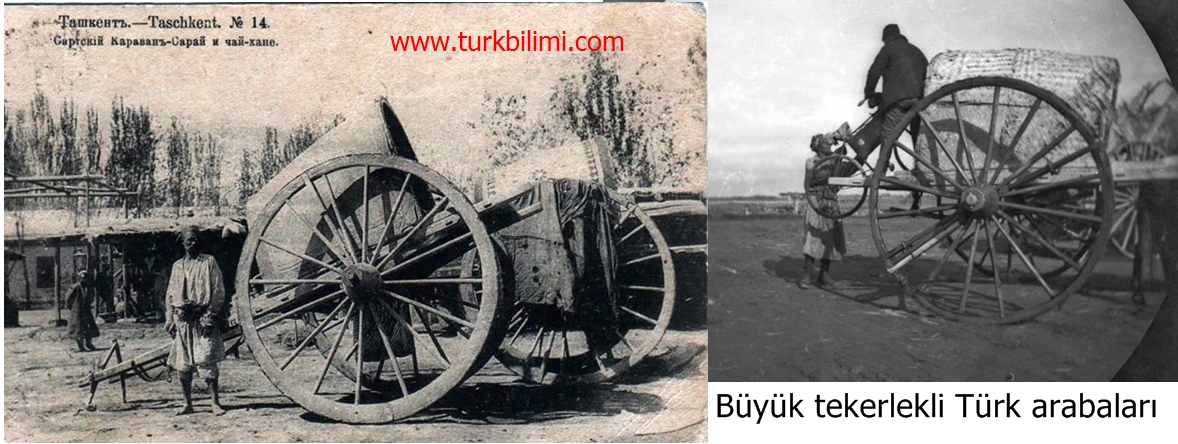 Büyük tekerlekli Türk arabaları.