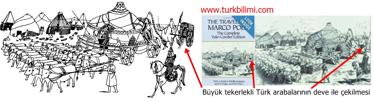 Büyük tekerlekli Türk arabalarının deve ile çekilmesi