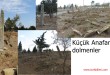 Bir Selçuklu Türkmen köyü Küçük Anafarta köyünde bayram ziyareti….şehitler ve şahitler-dolmenler …..