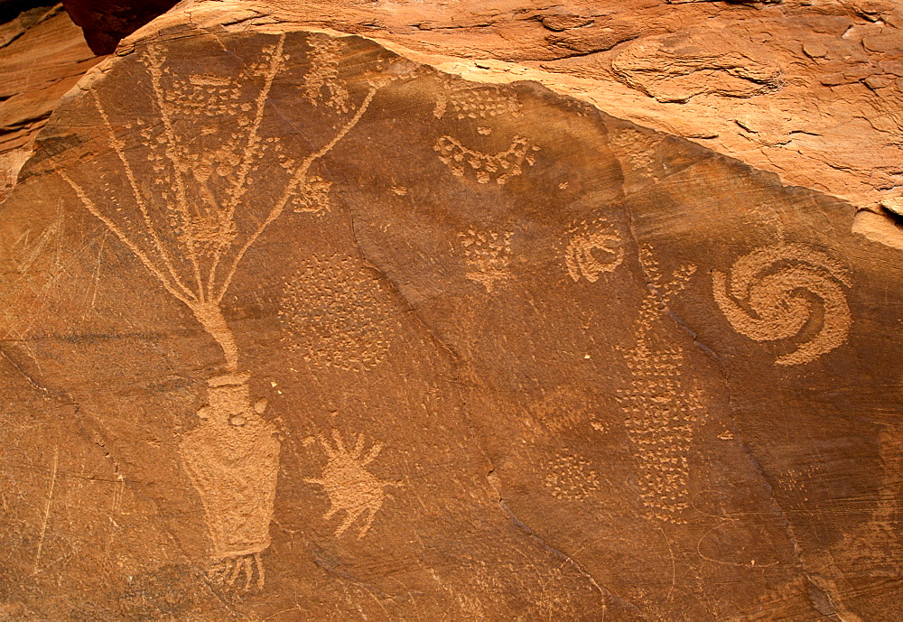 Petroglyphs carved 1000 years ago by Fremont Native American people in the iron oxide 'desert varnish' on the sandstone of Cub Creek Valley in this fossil park, Dinosaur National Monument, Utah, United States of America (USA), North America