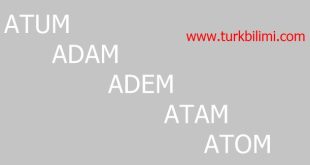 ATUM, ADAM, ADEM, ATAM VE ATOM