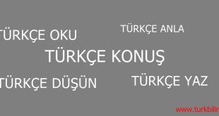 Türk Devletleri Örgütü ve Çalışma dili nedir…